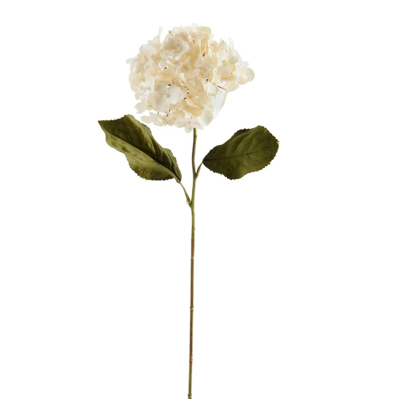 Pearl Hydrangea Stem by Ashland&#xAE;
